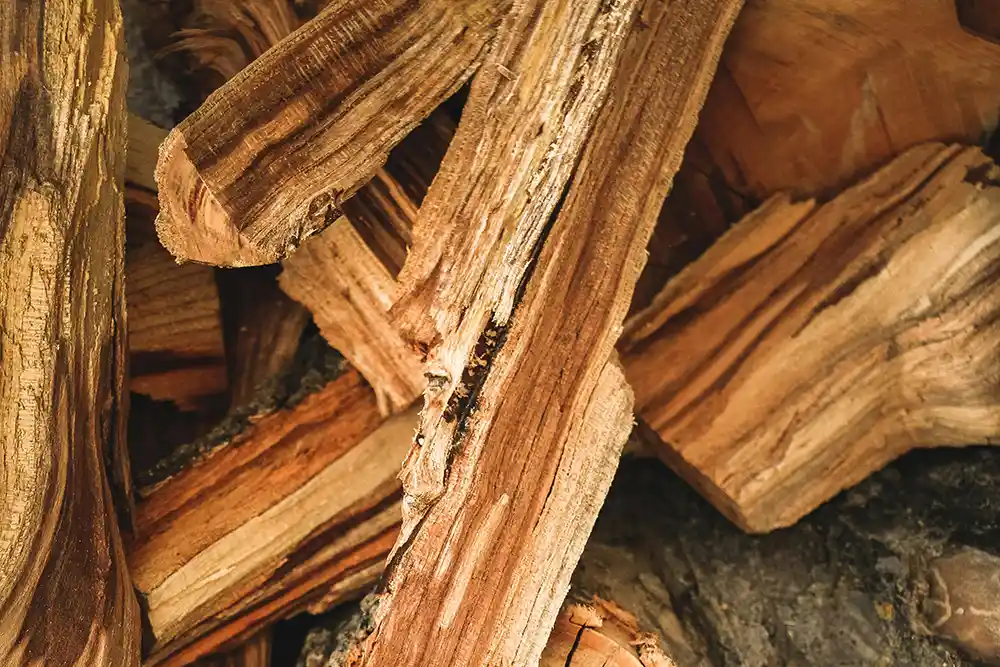 Bag of Firewood