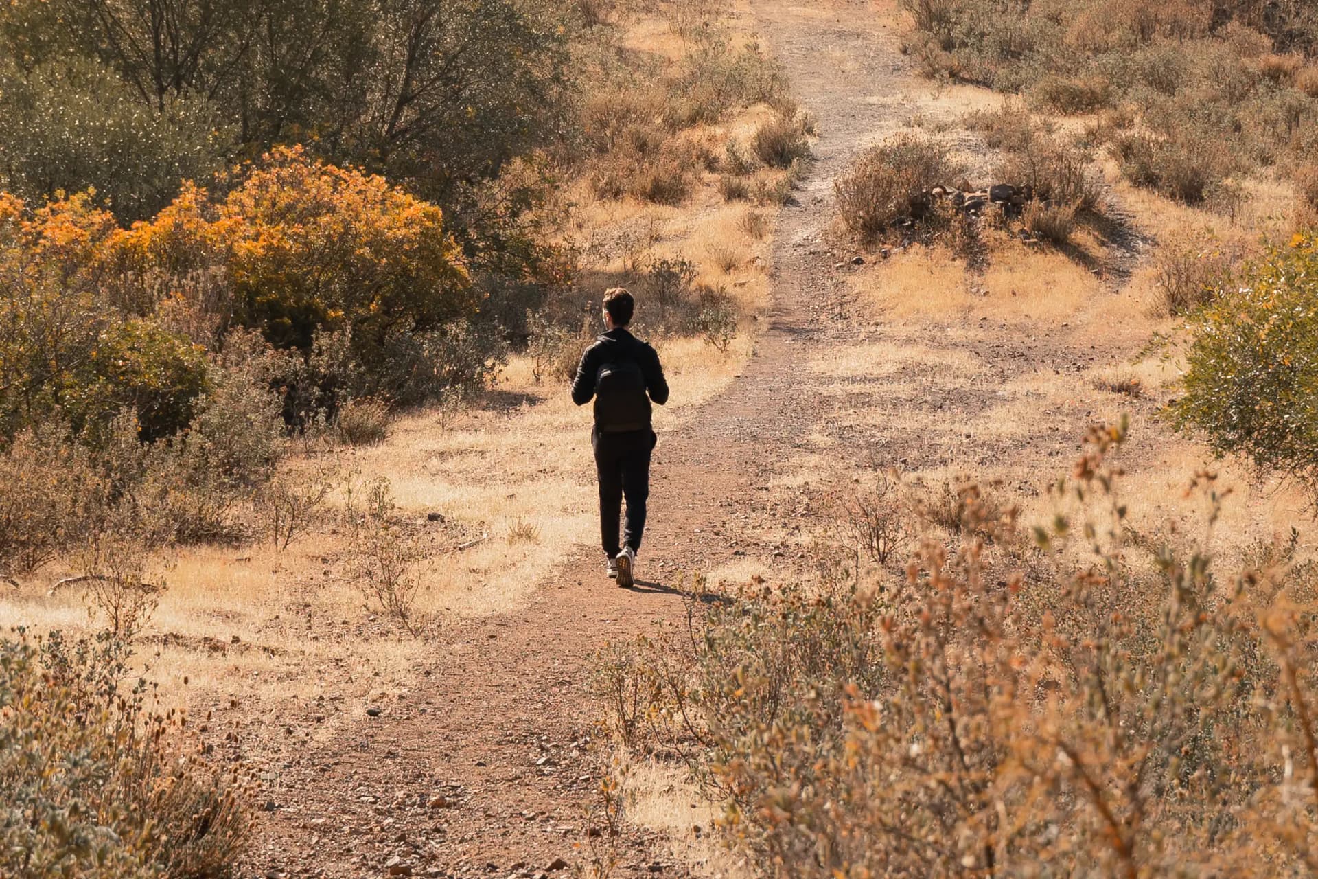 Hiking, running, walking and biking.